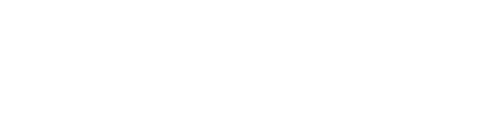 Capital Dynamics